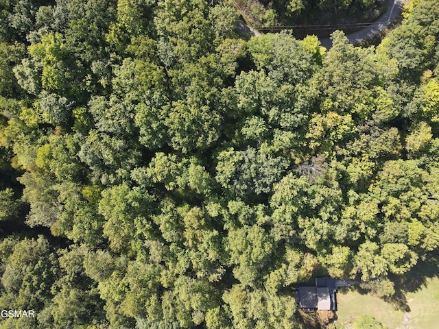 LOT64 Old Smoky High Top Rd, Cosby, TN 37722 - photo 3