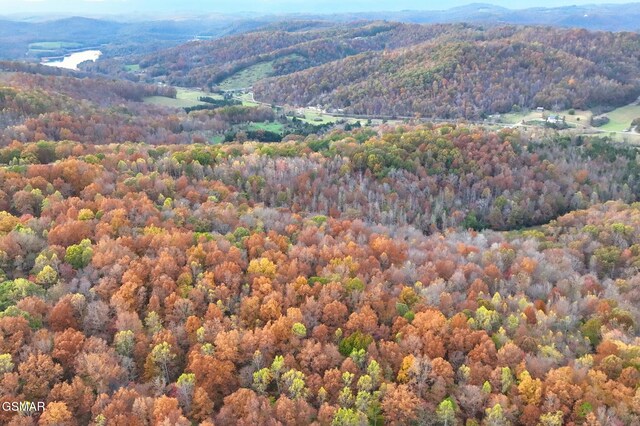 LOT6 Walker Rd, Sharps Chapel, TN 37866