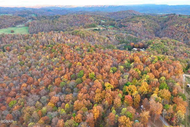 LOT6 Walker Rd, Sharps Chapel, TN 37866