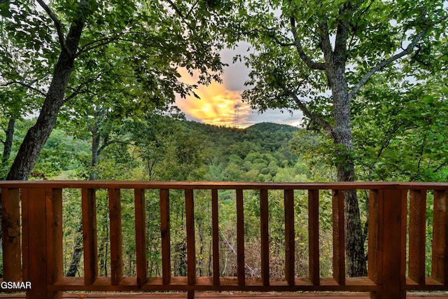 2914 Santella Way, Sevierville, TN 37862 - photo 5