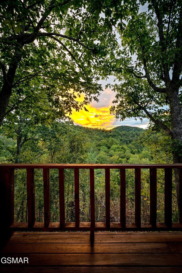 2914 Santella Way, Sevierville, TN 37862 - photo 6