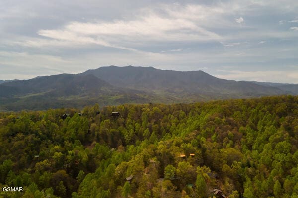 view of mountain feature featuring a wooded view