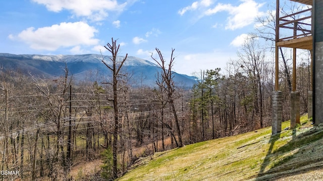 3540 Mountain Tyme Way, Sevierville, TN 37862 - mountain view