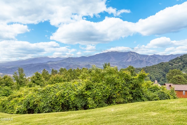 1260 Ski View Dr Unit 5106, Gatlinburg, TN 37738 - mountain view