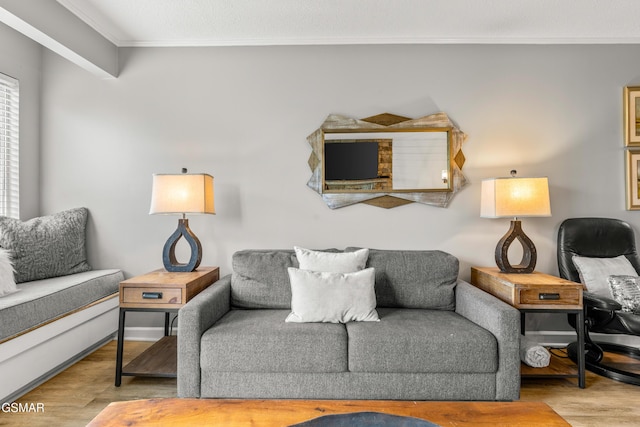 1260 Ski View Dr Unit 5106, Gatlinburg, TN 37738 - living room featuring wood finished floors and crown molding