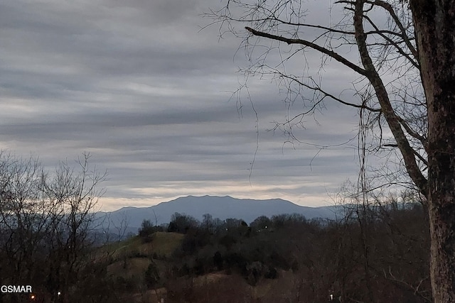 405 Maggie Mack Ln, Sevierville, TN 37862 - photo 8