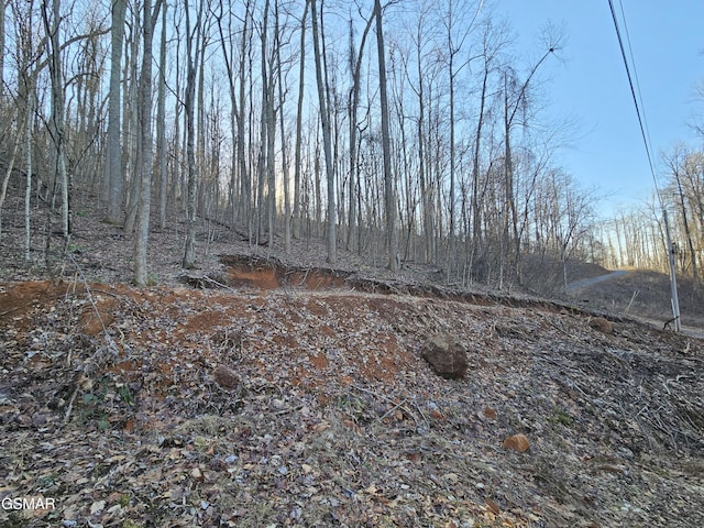 LOT30 Grand Country, Cosby TN, 37722 land for sale