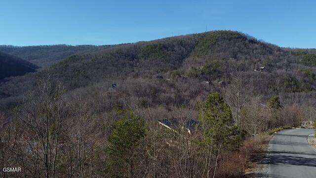 Listing photo 2 for LOT113 Summit Trails Dr, Sevierville TN 37862