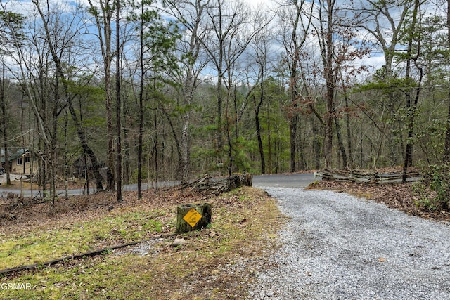 view of street with a wooded view