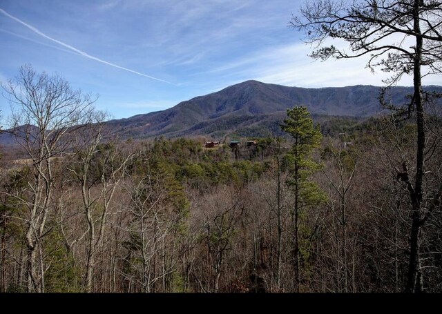 3508 Mountain Glenn Way, Sevierville, TN 37862 - photo 30