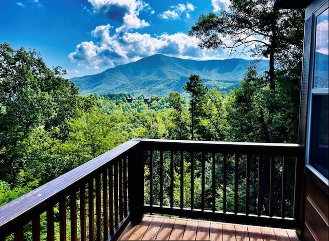 3508 Mountain Glenn Way, Sevierville, TN 37862 - photo 2