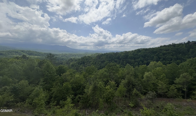 3710 Weber Rd Unit E306, Gatlinburg, TN 37738 - mountain view featuring a heavily wooded area