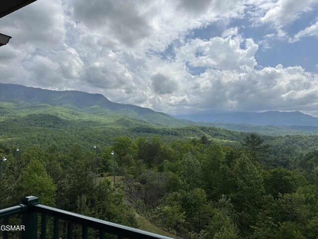 3710 Weber Rd Unit E306, Gatlinburg, TN 37738 - mountain view featuring a forest