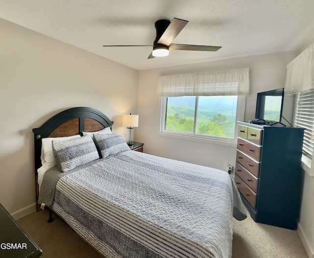 3710 Weber Rd Unit E306, Gatlinburg, TN 37738 - bedroom with carpet, baseboards, and a ceiling fan