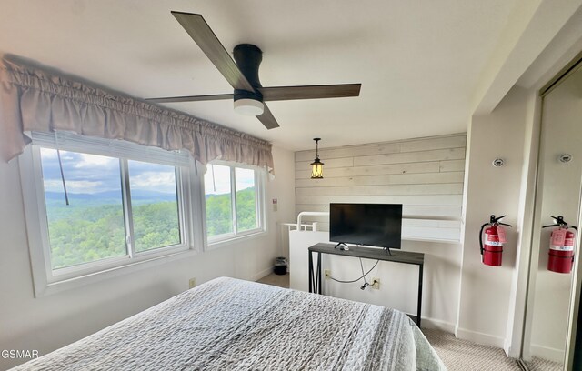 3710 Weber Rd Unit E306, Gatlinburg, TN 37738 - carpeted bedroom with baseboards and ceiling fan