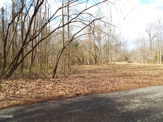 Listing photo 3 for 0000 Lark Rd, Newport TN 37821