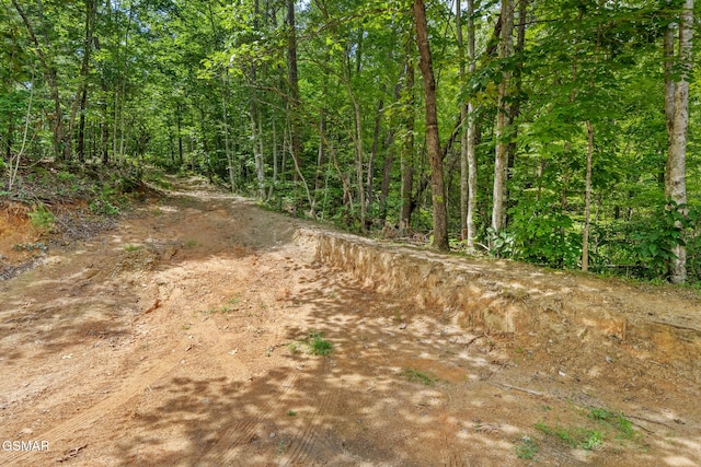 4091 Camp Hollow Rd, Sevierville, TN 37876 - view of woods