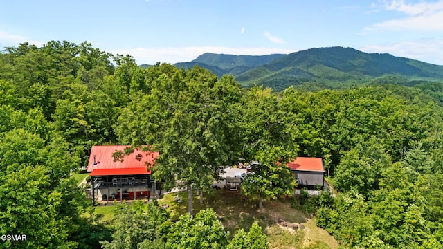 4091 Camp Hollow Rd, Sevierville, TN 37876 - view of subject property featuring a heavily wooded area and mountains