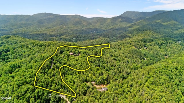 4091 Camp Hollow Rd, Sevierville, TN 37876 - aerial view of property and surrounding area featuring mountains and property boundaries highlighted