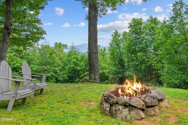 4091 Camp Hollow Rd, Sevierville, TN 37876 - view of green lawn with a fire pit and a forest view