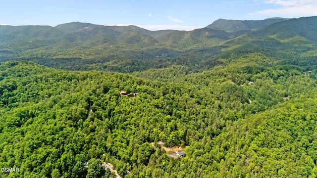 4091 Camp Hollow Rd, Sevierville, TN 37876 - view of mountain backdrop featuring a forest