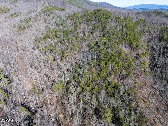 TRACT4 Wilhite Rd, Sevierville, TN 37876 - photo 5