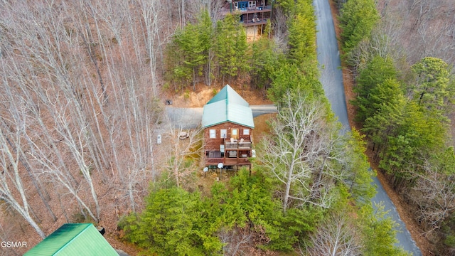 bird's eye view