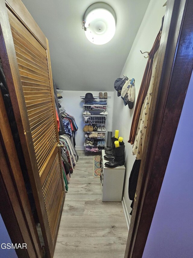 walk in closet with light wood-type flooring