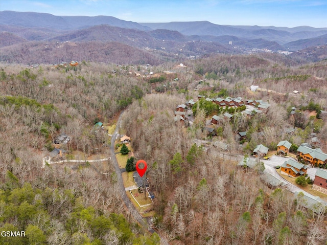 birds eye view of property with a mountain view