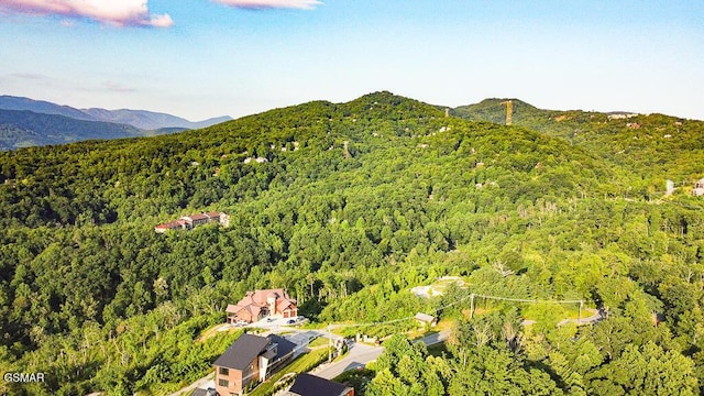 971 Cottage Gardens Way, Gatlinburg, TN 37738 - photo 24