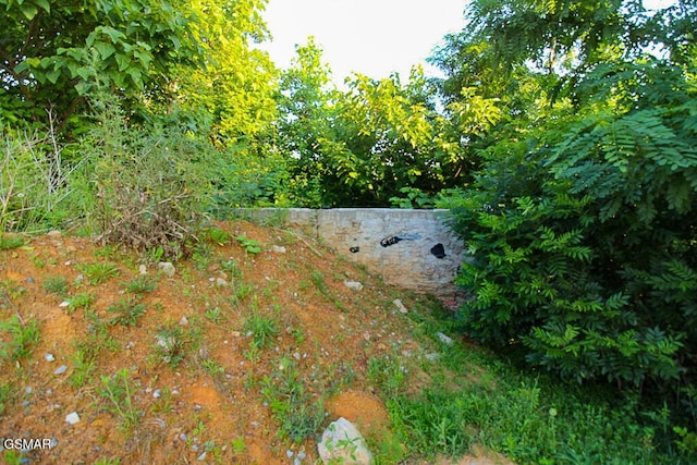 971 Cottage Gardens Way, Gatlinburg, TN 37738 - photo 10