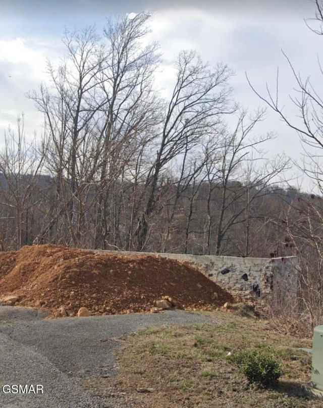 971 Cottage Gardens Way, Gatlinburg, TN 37738 - photo 2