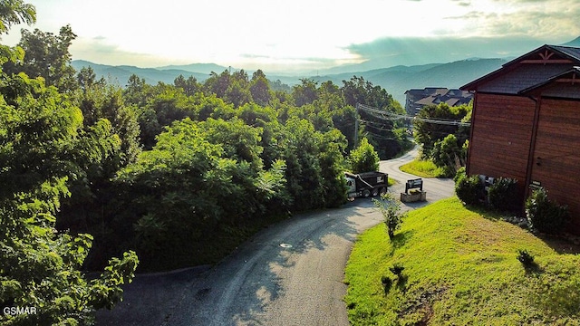 971 Cottage Gardens Way, Gatlinburg, TN 37738 - photo 16