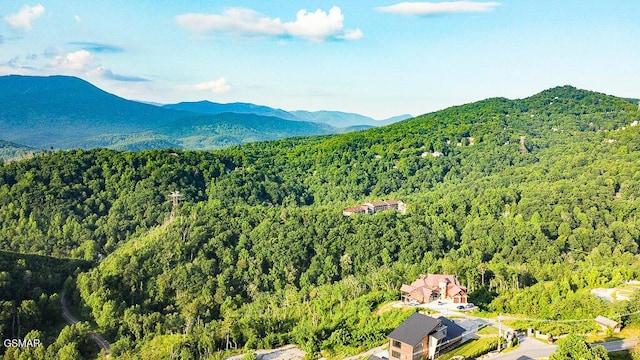 971 Cottage Gardens Way, Gatlinburg, TN 37738 - photo 26