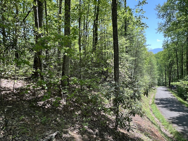 Listing photo 3 for 16.42ACRE Powdermill Rd, Gatlinburg TN 37738