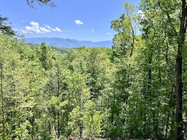 Listing photo 2 for 16.42ACRE Powdermill Rd, Gatlinburg TN 37738