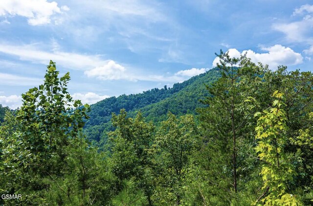 3152 Hatcher Top Rd, Sevierville, TN 37862 - photo 28