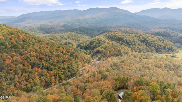 property view of mountains