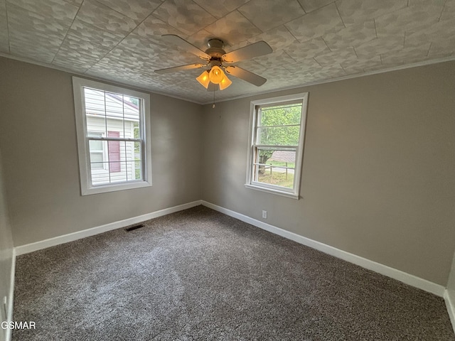 1462 Main St, White Pine, TN 37890 - photo 10