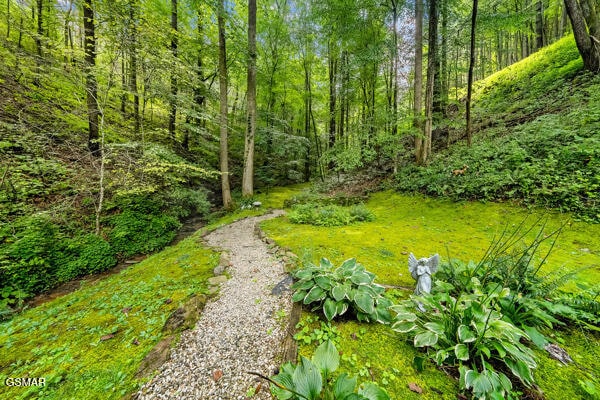 view of yard featuring driveway and a forest view