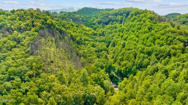 bird's eye view with a wooded view