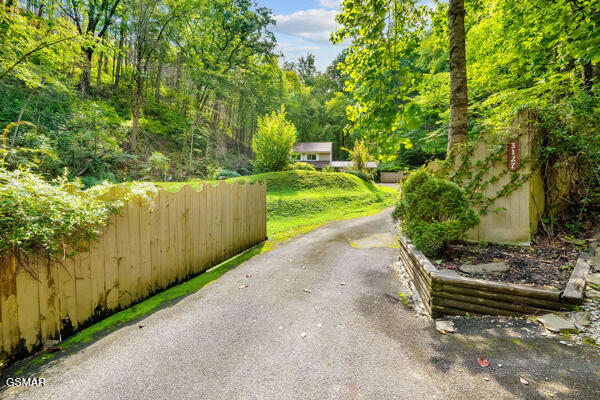 view of road with aphalt driveway