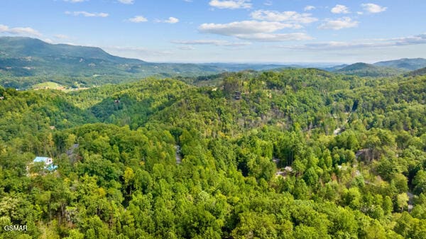 bird's eye view featuring a mountain view and a wooded view