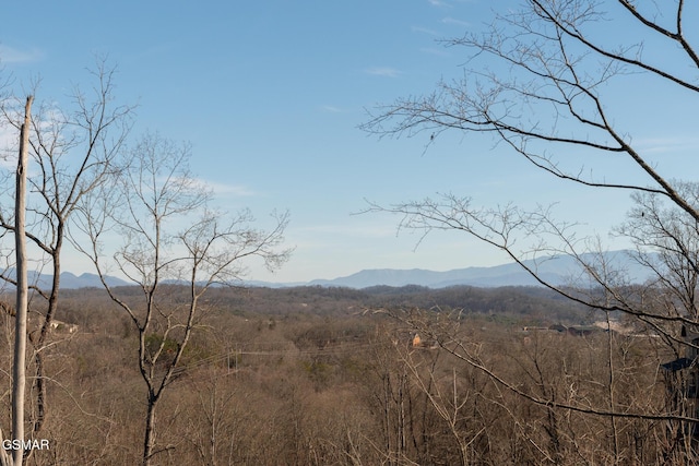 property view of mountains