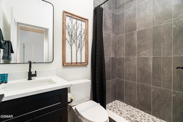 bathroom featuring toilet, vanity, and a shower with curtain