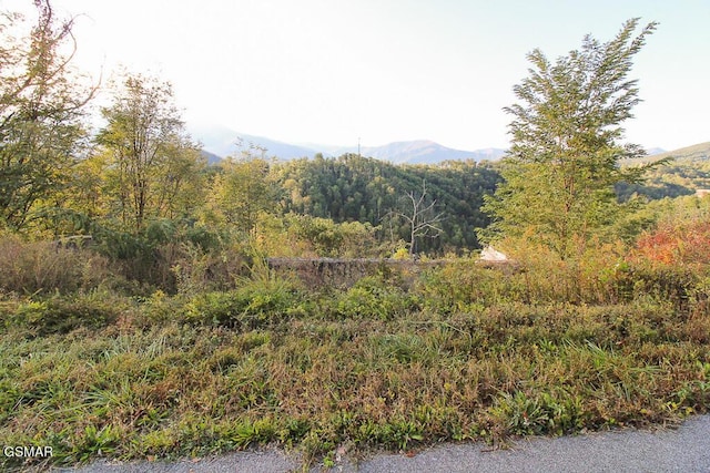 908 E End Ct, Gatlinburg TN, 37738 land for sale