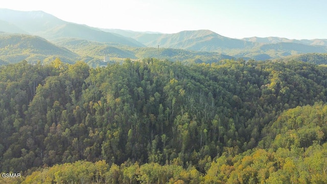 Listing photo 2 for 908 E End Ct, Gatlinburg TN 37738