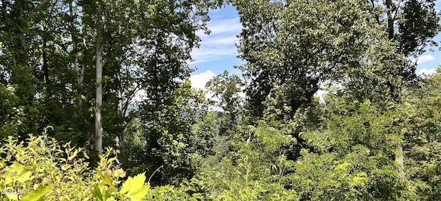 2LOTS Loop Rd, Gatlinburg, TN 37738 - photo 5