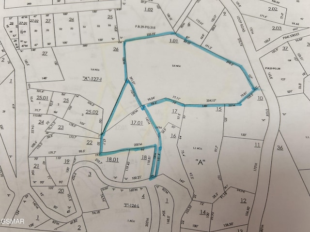 2LOTS Loop Rd, Gatlinburg, TN 37738 - photo 6