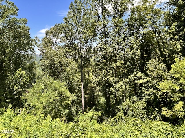 2LOTS Loop Rd, Gatlinburg, TN 37738 - photo 3